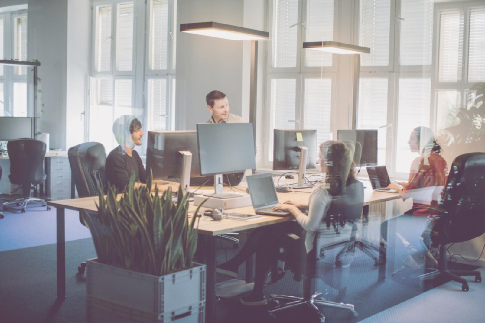 Professionelle Beratung für Finanzanalysten